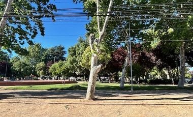 Departamento en Arriendo en Plaza las Heras Talca