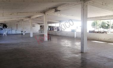 Lote de: 2,950 m² – Ideal Para Tu Proyecto en Los Reyes, Tlayacapan