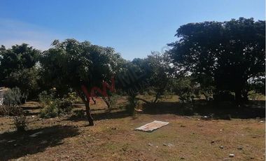 Lote de: 2,950 m² – Ideal Para Tu Proyecto en Los Reyes, Tlayacapan