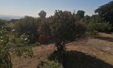 Lote de: 2,950 m² – Ideal Para Tu Proyecto en Los Reyes, Tlayacapan