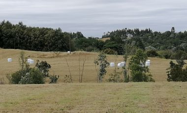 VENTA DE CAMPO COLONIA EL ÑADY