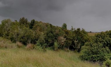 VENTA DE CAMPO COLONIA EL ÑADY