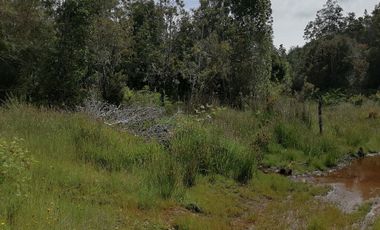 VENTA DE CAMPO COLONIA EL ÑADY