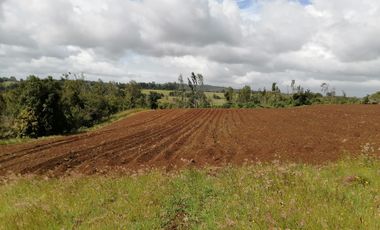 VENTA DE CAMPO COLONIA EL ÑADY