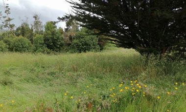 VENTA DE CAMPO COLONIA EL ÑADY