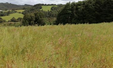 VENTA DE CAMPO COLONIA EL ÑADY