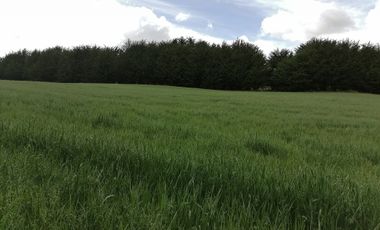 VENTA DE CAMPO COLONIA EL ÑADY