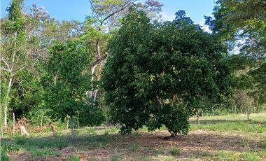 Terreno de campo en venta en Las Uvas, San Carlos