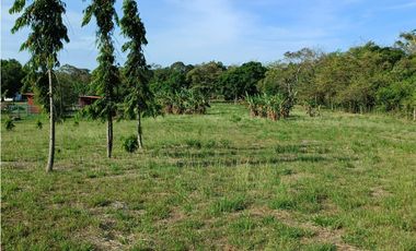 Terreno de campo en venta en Las Uvas, San Carlos