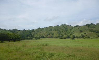SE VENDE FINCA EN LOS SANTOS