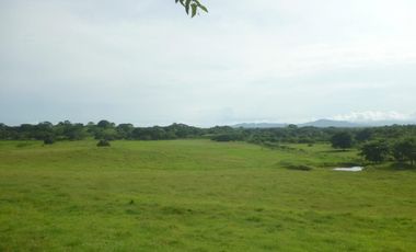 SE VENDE FINCA EN LOS SANTOS