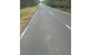 SE VENDE FINCA EN LOS SANTOS