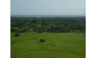 SE VENDE FINCA EN LOS SANTOS