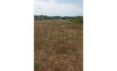 SE VENDE FINCA EN LOS SANTOS