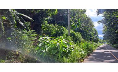 Tereno de bosque tropical montañoso via a Sora