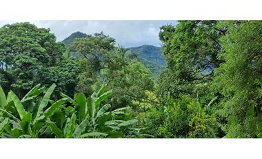 Tereno de bosque tropical montañoso via a Sora