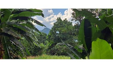 Tereno de bosque tropical montañoso via a Sora