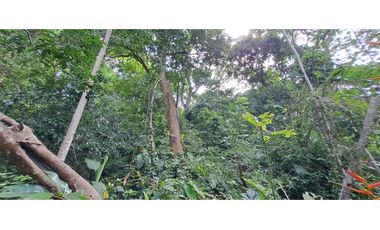 Tereno de bosque tropical montañoso via a Sora