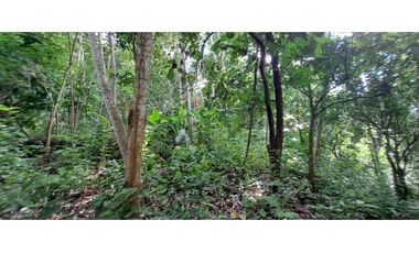 Tereno de bosque tropical montañoso via a Sora
