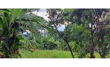 Tereno de bosque tropical montañoso via a Sora