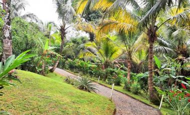 AFFORDABLE ISLAND LIVING