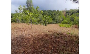 Se Vende Terreno en La Ermita.