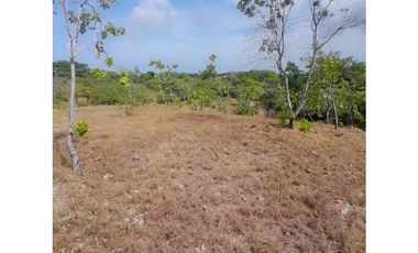Se Vende Terreno en La Ermita.