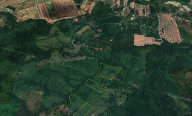 Venta de 2 globos en Río Congo de 9has y 5has-Arraiján-JB