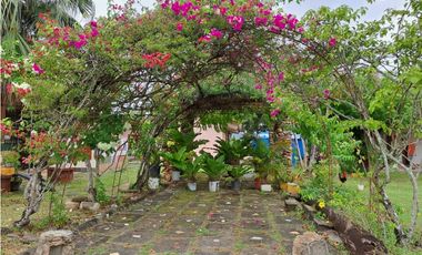 Potencial propiedad ideal para Hostal de Playa, Playa Gorgona JB
