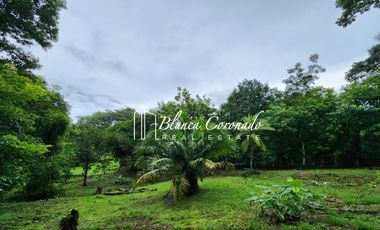 VENDO TERRENO EN CALZADA LARGA