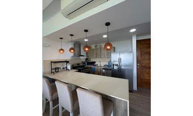 ALQUILO APARTAMENTO DE PLAYA PUNTA CAELO SAN CARLOS