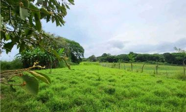 VENTA DE FINCA TRABAJADA EN ANTON PARA INVERSIÓN O VIVIR