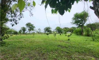 VENTA DE FINCA TRABAJADA EN ANTON PARA INVERSIÓN O VIVIR