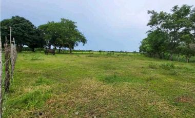 VENTA DE FINCA TRABAJADA EN ANTON PARA INVERSIÓN O VIVIR