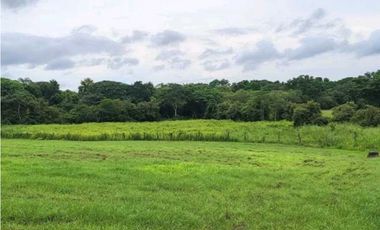 VENTA DE FINCA TRABAJADA EN ANTON PARA INVERSIÓN O VIVIR