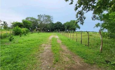 VENTA DE FINCA TRABAJADA EN ANTON PARA INVERSIÓN O VIVIR