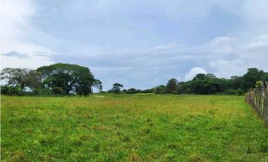 VENTA DE FINCA TRABAJADA EN ANTON PARA INVERSIÓN O VIVIR