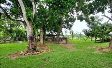 VENTA DE FINCA TRABAJADA EN ANTON PARA INVERSIÓN O VIVIR