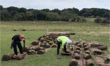 VENTA DE FINCA TRABAJADA EN ANTON PARA INVERSIÓN O VIVIR