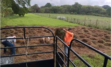 VENTA DE FINCA TRABAJADA EN ANTON PARA INVERSIÓN O VIVIR