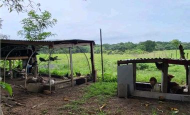 VENTA DE FINCA TRABAJADA EN ANTON PARA INVERSIÓN O VIVIR