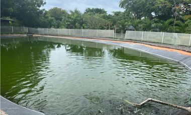 Venta de Hotel Ecoturístico en San Carlos