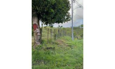 Finca en venta Nombre de Dios