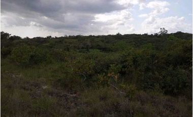 VENDO TERRENO CON VISTA LEJANA AL MAR Y A LA INDIA DORMIDA EN COCLE.