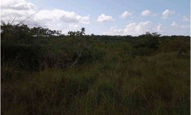 VENDO TERRENO CON VISTA LEJANA AL MAR Y A LA INDIA DORMIDA EN COCLE.