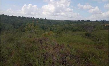 VENDO TERRENO CON VISTA LEJANA AL MAR Y A LA INDIA DORMIDA EN COCLE.