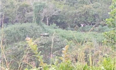 VENDO TERRENO CON VISTA LEJANA AL MAR Y A LA INDIA DORMIDA EN COCLE.