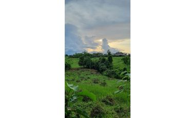 FINCA EN VENTA EN LAS YAYAS ADENTRO - CHORRERA