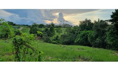 FINCA EN VENTA EN LAS YAYAS ADENTRO - CHORRERA