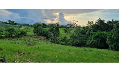 FINCA EN VENTA EN LAS YAYAS ADENTRO - CHORRERA